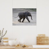 Sweet Baby Elephant Kibali Poster (Küche)