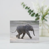 Sweet Baby Elephant Kibali Postkarte (Stehend Vorderseite)