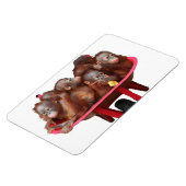 Sweet Baby Face Barrel von Affen Magnet (Linke Seite)