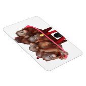 Sweet Baby Face Barrel von Affen Magnet (Rechte Seite)