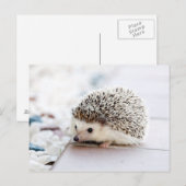 Sweet Baby Igel Postkarte (Vorne/Hinten)