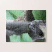 Sweet Baby Kitten Puzzle (Horizontal)