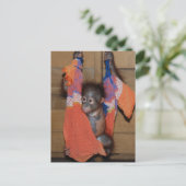 Sweet Baby Orangutan Rescue Postkarte (Stehend Vorderseite)