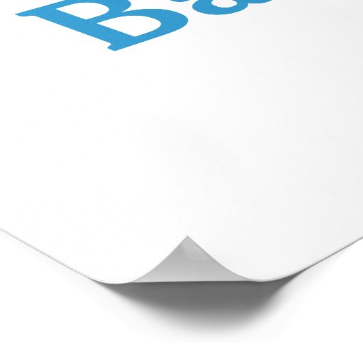 Sweet Baby Owl Boy Baby Shower Poster (Ecke)