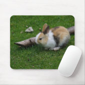 Sweet Baby Rabbit Mousepad (Mit Mouse)