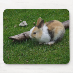 Sweet Baby Rabbit Mousepad
