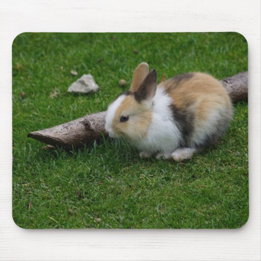 Sweet Baby Rabbit Mousepad (Vorne)