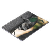 Sweet Baby Raccoon Notizblock (Linke Seite)