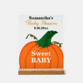 Sweet Baby Shooter Orange Pumpkin Acrylschild (Vorderseite)