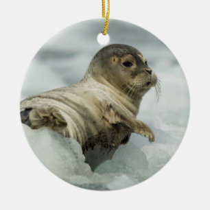 Sweet Baby Siegel Keramik Ornament