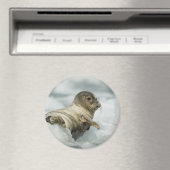 Sweet Baby Siegel Magnet (In Situ (Geschirrspüler))