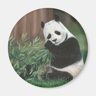 Sweet Bamboo Panda Bären Magnet
