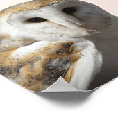Sweet Barn Owl Kinderzimmer Poster (Ecke)