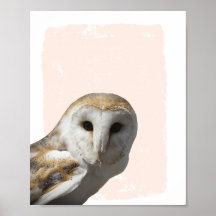 Sweet Barn Owl Kinderzimmer