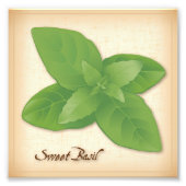 Sweet Basil Herb Foto Print (Vorne)