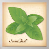 Sweet Basil Herb Poster (Vorne)