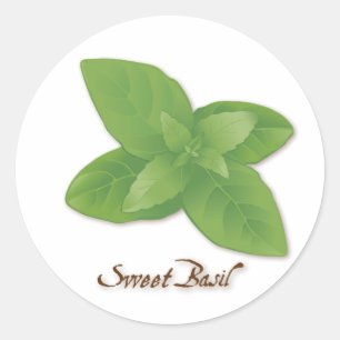 Sweet Basil Herb Round Sticker