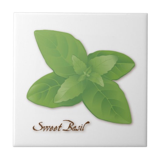 Sweet Basil Herb Tile Fliese (Vorderseite)