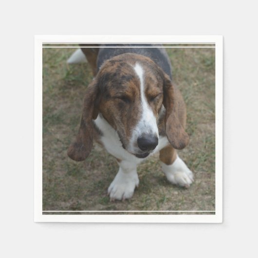 Sweet Basset Hound Serviette (Vorderseite)