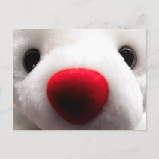 Sweet Bear Postcard Postkarte (Vorderseite)