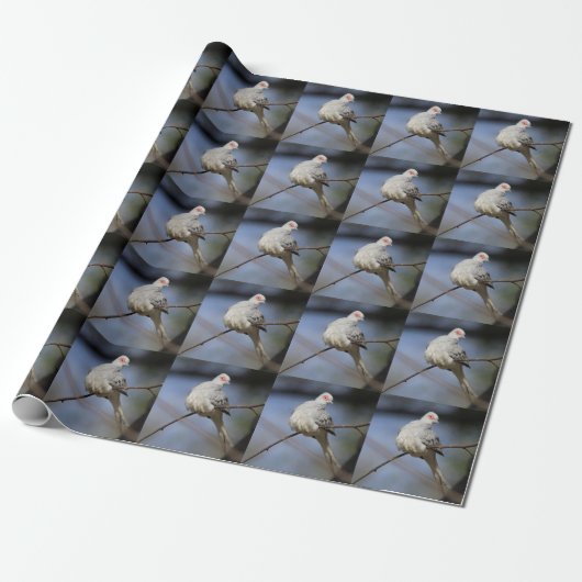 Sweet Beautiful Diamond Dove Geschenkpapier (Ungerollt)