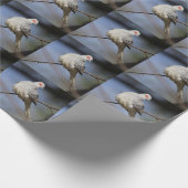 Sweet Beautiful Diamond Dove Geschenkpapier (Ecke)