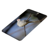 Sweet Beautiful Diamond Dove Magnet (Linke Seite)