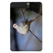 Sweet Beautiful Diamond Dove Magnet (Vertikal)