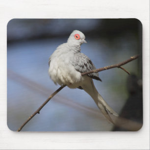 Sweet Beautiful Diamond Dove Mousepad