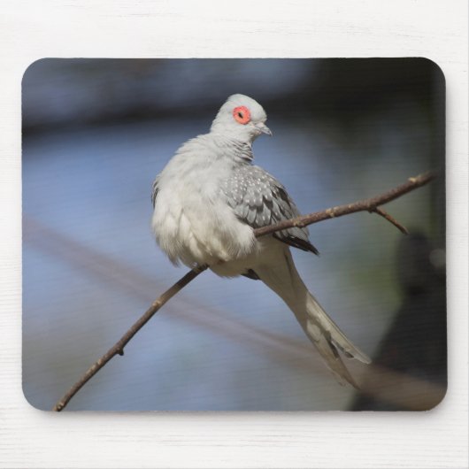 Sweet Beautiful Diamond Dove Mousepad (Vorne)