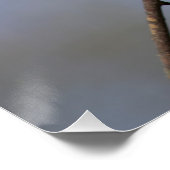 Sweet Beautiful Diamond Dove Poster (Ecke)