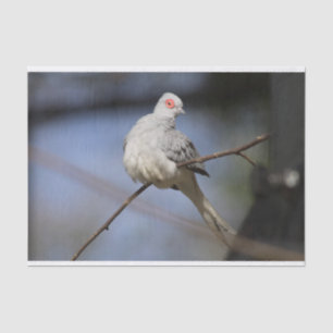 Sweet Beautiful Diamond Dove Seidenpapier
