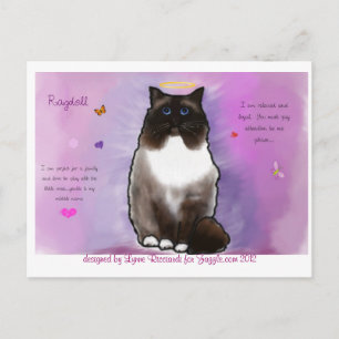 Sweet Beautiful Ragdoll Postkarte