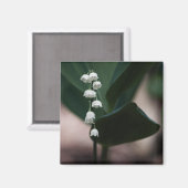 Sweet Bells Magnet (Vorderseite/Rückseite)