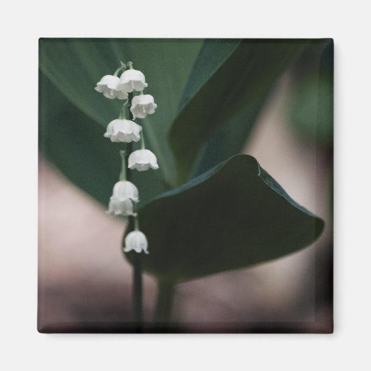 Sweet Bells Magnet (Vorne)