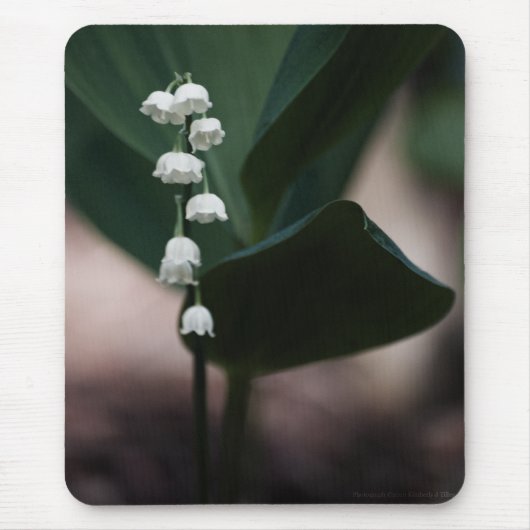 Sweet Bells Mousepad (Vorne)