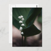 Sweet Bells Postcard Postkarte (Vorne/Hinten)