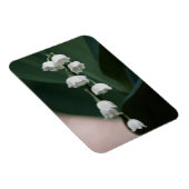 Sweet Bells Premium Magnet (Rechte Seite)