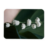 Sweet Bells Premium Magnet (Horizontal)