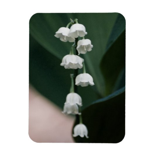 Sweet Bells Premium Magnet (Vertikal)