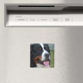 Sweet Bernese Magnet (In Situ (Geschirrspüler))
