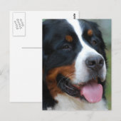 Sweet Bernese Postcard Postkarte (Vorne/Hinten)