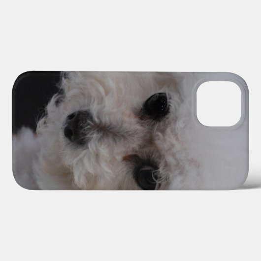 Sweet Bichon Friise Case-Mate iPhone Hülle (Rückseite (Horizontal))