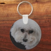 Sweet Bichon Frise Schlüsselanhänger (Vorderseite)