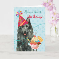 Sweet Birthday Belgische Sheepdog-Karte