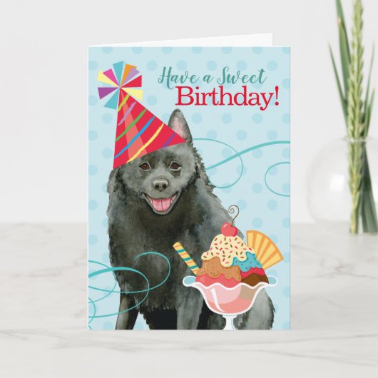 Sweet Birthday Schipperke Karte (Vorderseite)