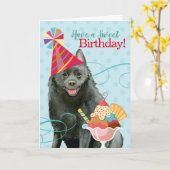 Sweet Birthday Schipperke Karte (Gelbe Blume)