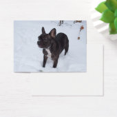 Sweet Black Bulldog Likes Snow (Schreibtisch)