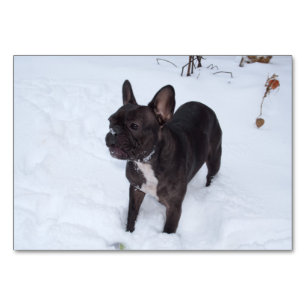 Sweet Black Bulldog Likes Snow Tischnummer