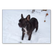 Sweet Black Bulldog Likes Snow Tischnummer (Vorderseite)